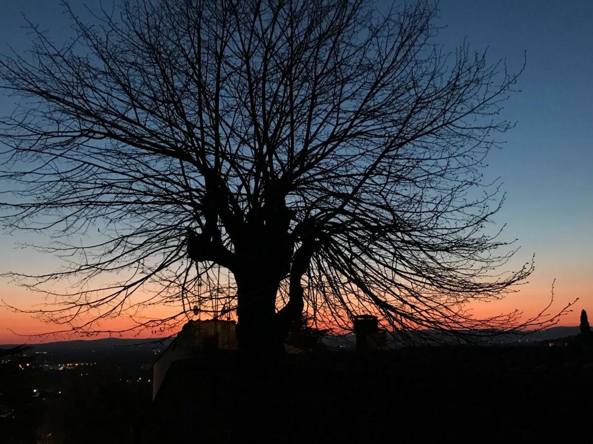 Camera E Appartamento Toscana - B&B Palazzo Robicci Castiglion Fiorentino Dış mekan fotoğraf
